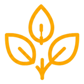 Mine-Rehabilitation-Icon